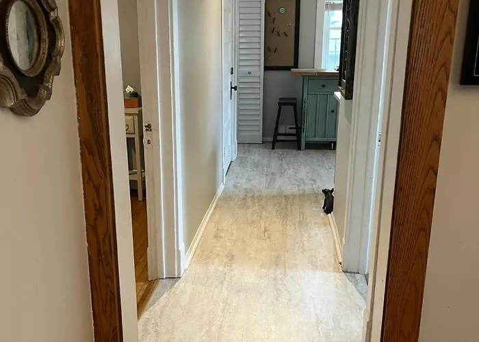 Sunny 2 Bedroom West Of Chicago In Quaint Center Appartamento Forest Park